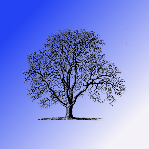 Widgedges logo