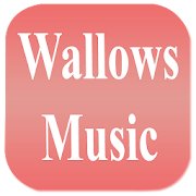 Wallows Music