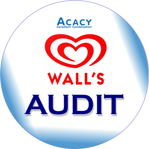 Wall Audit 133 Icon
