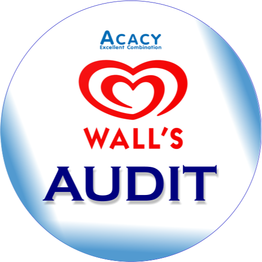 Wall Audit logo