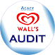 Wall Audit