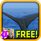 Whale Slots - Free icon