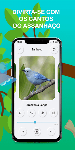 Cornish bird calls Screen 2