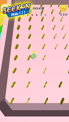 Seek 'N Hide! - Screenshot 4