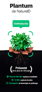 Plantum:reconnaissance plante Capture d'écran