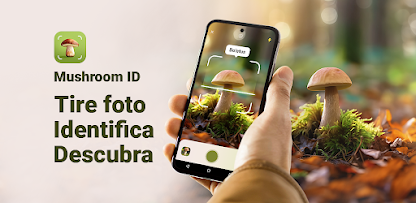 Imagem da captura de tela