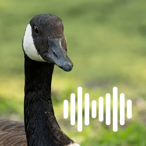 Canada goose logo 512x512 hotsell