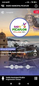 Radio Municipal Picaflor