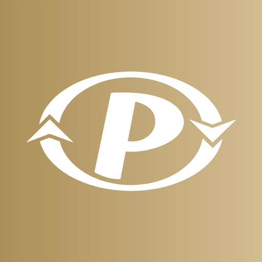 Paradigma Segurança logo
