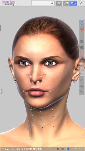 Master Tung`s Acupoint Anatomy screenshot 10