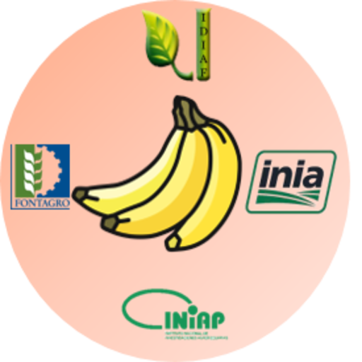 Más Banano logo