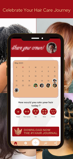 Crown Chronicles Hair Journal Screen 3