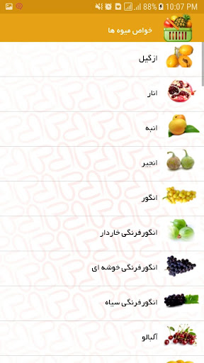 خواص میوه ها