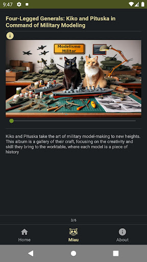 Military Modeling Screen 2