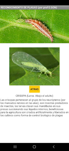 Reconocimiento de plagas Screen 2