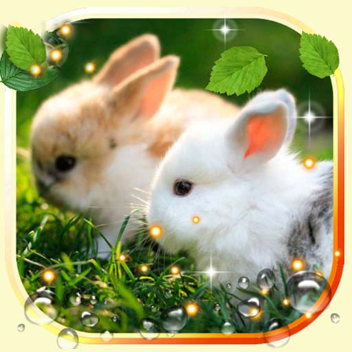 Bunnies Live Wallpaper 1.15 Icon