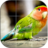 Puzzles Game for Birds icon
