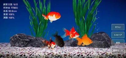金魚育成アプリ ポケット金魚 Google Play のアプリ