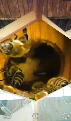 AR Bee Worldのおすすめ画像3