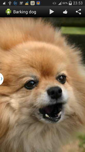 Android application Barking Dog Sounds screenshort