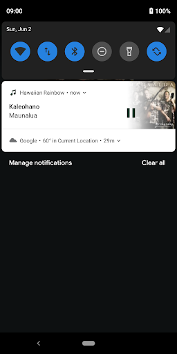 Hawaiian Rainbow Radio Screen 2