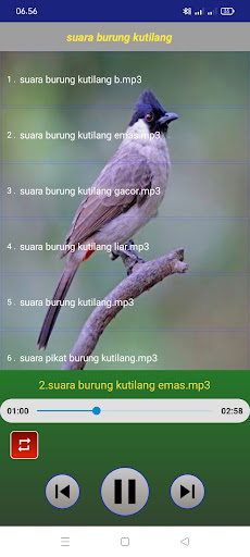 Android application Suara burung kutilang screenshort