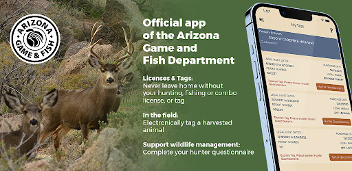 Arizona E-Tag