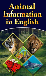 Animal Information in English