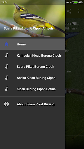 Android application Suara Pikat Burung Cipoh Ampuh screenshort