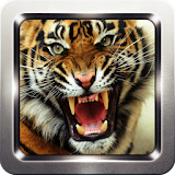 Tiger Roar Sound Collection icon