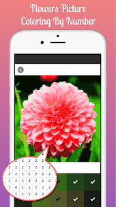 Flowers Picture Coloring