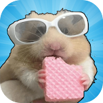 Cover Image of 下载 Hamsters Moods Meme Stickers  APK