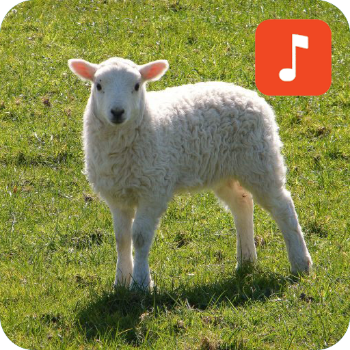 Sheep Sound Effects - Apps on Google Play
