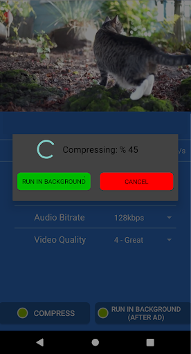 Video Compressor Screen 3