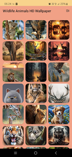 Wildlife Animals HD Wallpaper