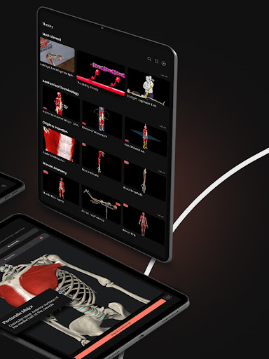 Screenshot of Anatomy by M&M