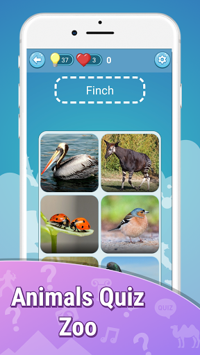 Animals quiz zoo: fish birds Screen 2