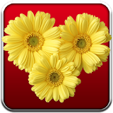 Lovely Flower Stickers icon