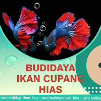 Budidaya Ikan Cupang Hias