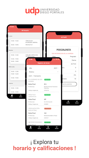 Conecta Udp Screen 2