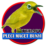 Pleci Therapy Does not Want to Beep icon