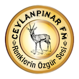 CEYLANPINAR FM icon