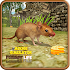 Mouse Simulator - Forest Life1.0