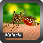 Recognize Malaria 3.0 Icon