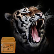tiger wallpaper animation - big cat wallpaper