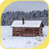 Log Cabin in Forest icon