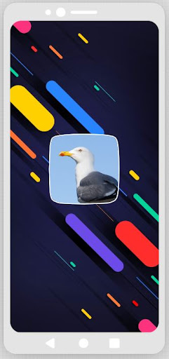 Android application Seagull Sounds screenshort