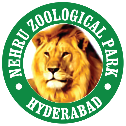 Hyderabad Zoo Park Download on Windows