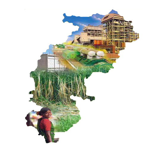 Cg tourism logo