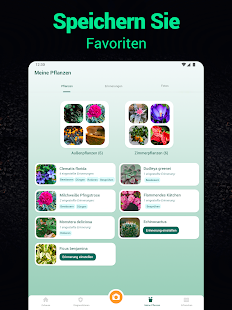Plantum - Pflanzen bestimmen Screenshot